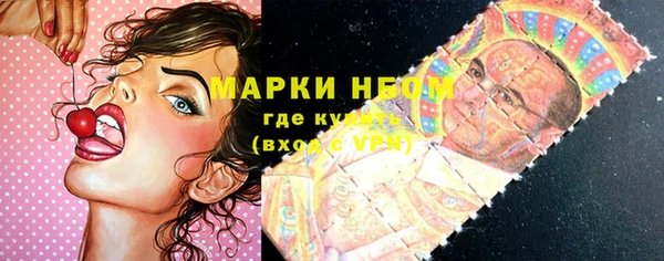 ешки Новодвинск