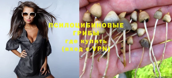 ECSTASY Балахна